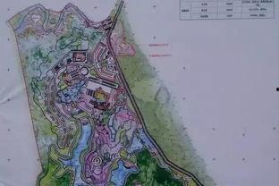 梅林镇梅南村爆料事件视频,真相与争议交织  第3张