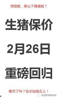 爱罗最新爆料消息,揭秘娱乐圈幕后真相  第2张