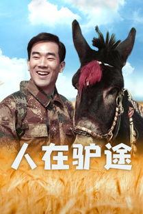 人在驴途在线观看,一场别开生面的在线观影之旅 第1张 人在驴途在线观看,一场别开生面的在线观影之旅 第1张