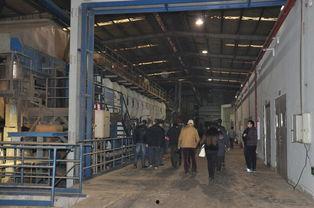 吉林木材厂爆料视频大全,揭露行业黑幕与真相  第3张